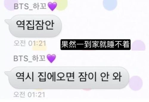 惊人的星期六 综艺 - 相关图片