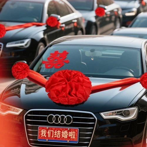 新婚夜,我和姐姐上错婚车嫁对郎 短剧 - 相关图片