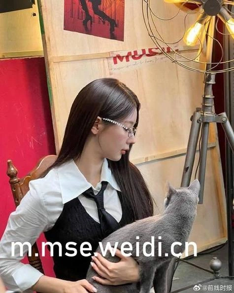 男儿当保姆第二季
