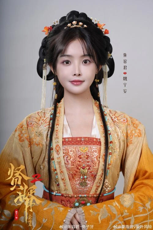 大厨小婿 朱容君 海报