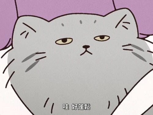 动起来!从前有只猫 下野纮 动漫 官方剧照