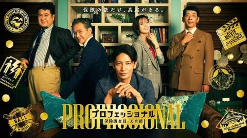 专业人士:保险调查员・天音莲 冈崎纱绘 日本剧 官方剧照