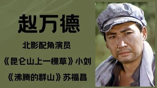 昆仑山上一棵草 剧情片 刘燕瑾 海报