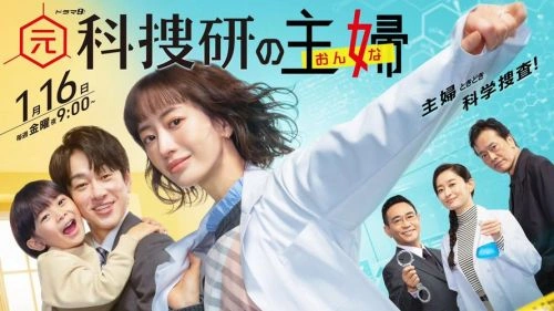 佐藤大空 前科搜研的主妇 日本剧 剧照