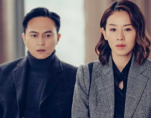 靖琪 主演 两妻时代粤语 香港剧