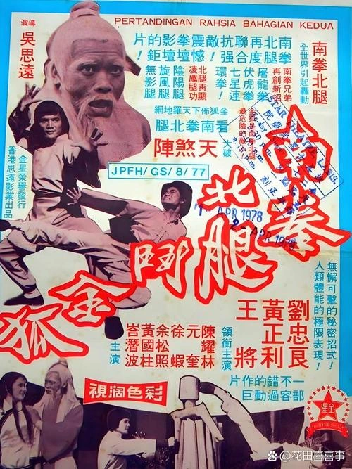 南拳北腿斗金狐 王将 动作片 官方剧照