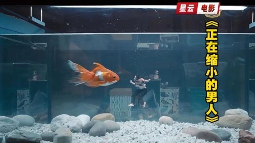 正在缩小的男人 科幻片 让·杜雅尔丹