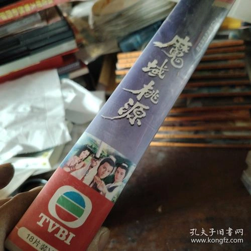 魔域桃源粤语 刘德华 香港剧 官方剧照
