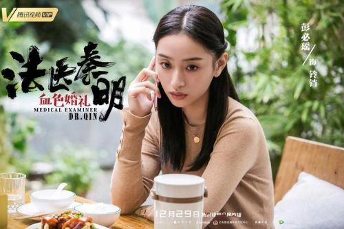 彭必瑶 主演 杨非与高俐 爱情片