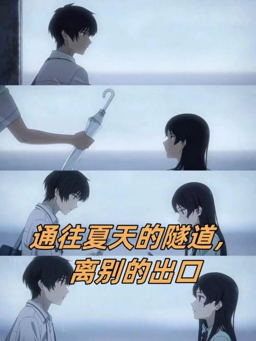 通往夏天的隧道,离别的出口 照井春佳 动画片 官方剧照