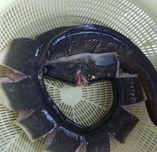 河鳗 剧情片 截图