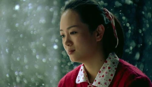 婚后三十年 国产剧 素材