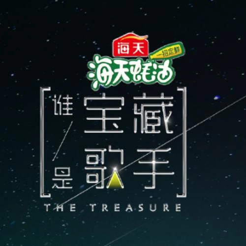 综艺 谁是宝藏歌手海报