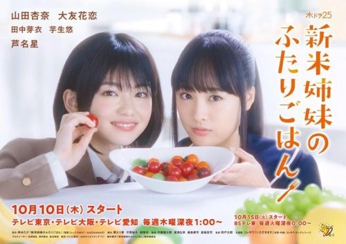 新手姐妹的双人餐桌 芦名星 日本剧 官方剧照
