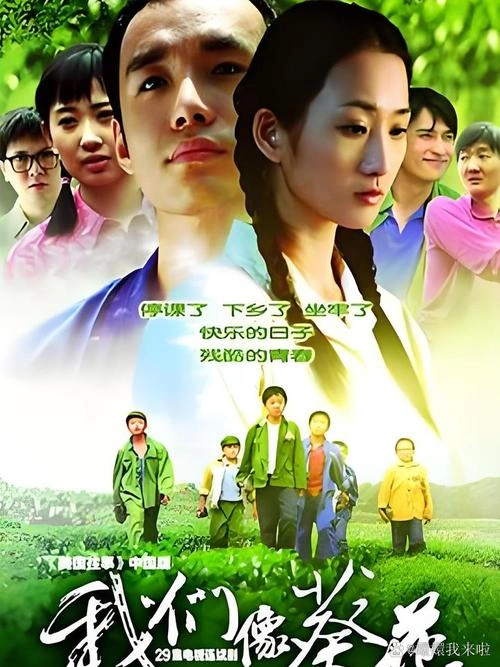我们像葵花 王晔 国产剧 官方剧照