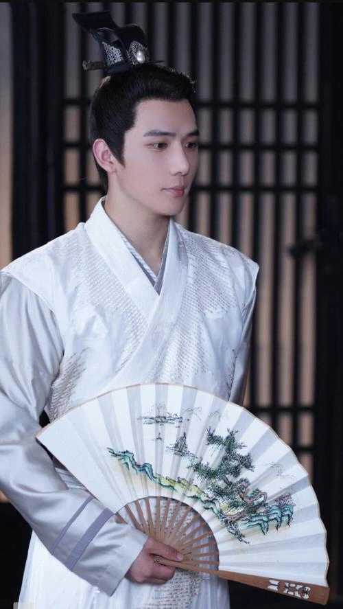 王安宇 主演 女世子