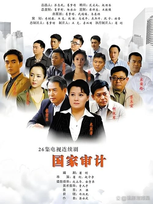 国家审计 夏德俊 国产剧 官方剧照