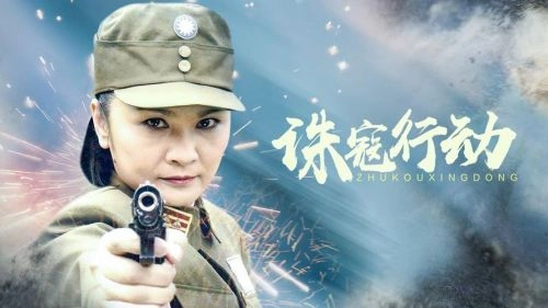 诛寇行动 国产剧 杨若莹 海报