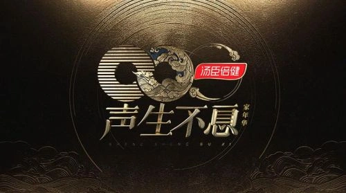 未知 在 声生不息·家年华 中