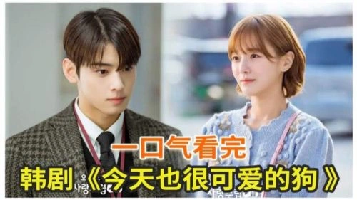 今天也很可爱的狗 朴珪瑛 韩剧 官方剧照