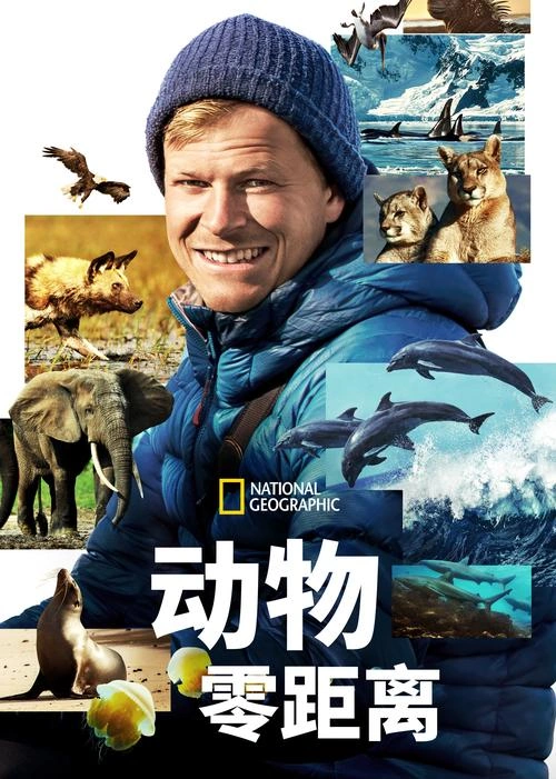 贝尔蒂·格雷戈里:与动物零距离 犯罪片 截图