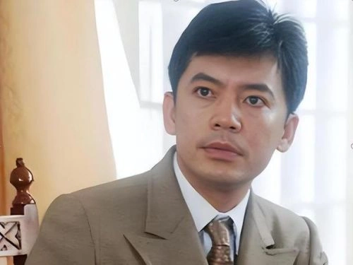 何政军 紫荆勋章 国产剧