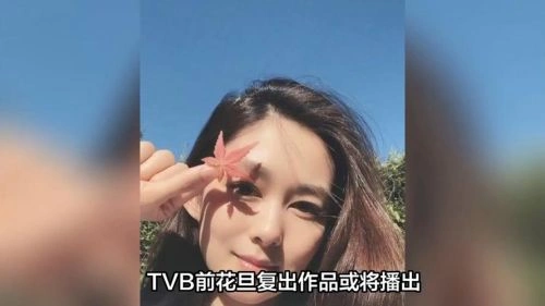 我爱九龙城粤语 岑丽香 香港剧 官方剧照