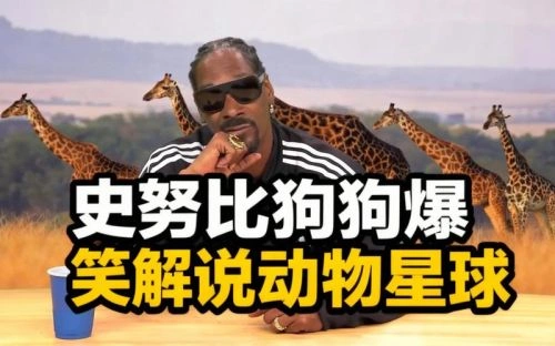 史努比狗狗 Netflix真搞笑喜剧节精选 喜剧片 剧照