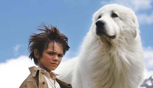 灵犬雪莉:冒险再出发 ·钮维 剧情片 官方剧照