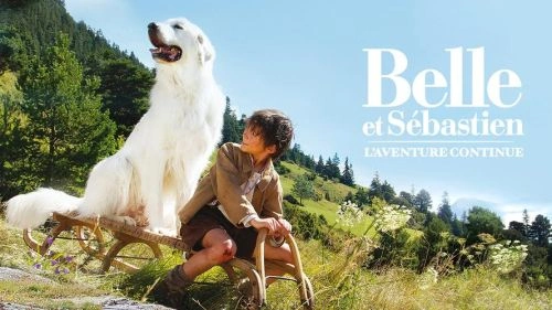 灵犬雪莉:冒险再出发 费利克斯·博叙埃 剧情片 官方剧照