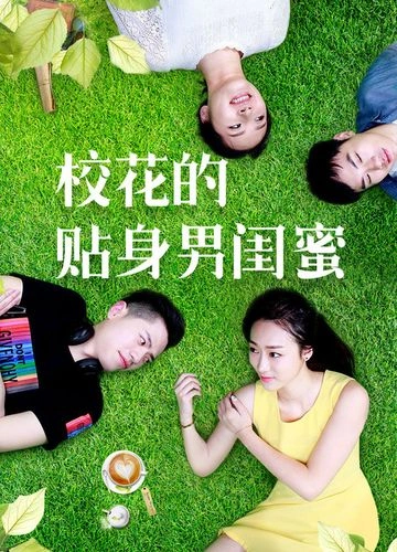 校花的贴身男闺蜜 爱情片