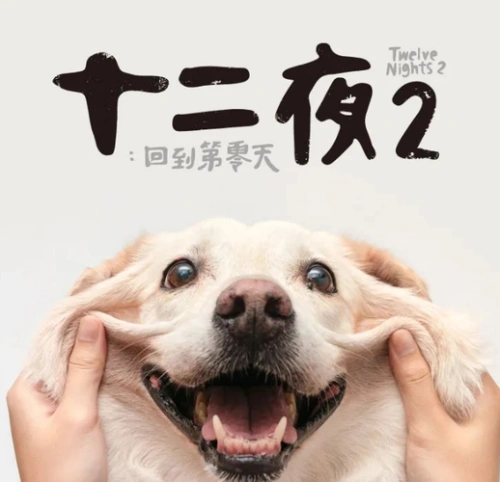 十二夜2:回到第零天 其他片海报