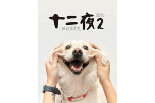 十二夜2:回到第零天 Raye 精彩瞬间