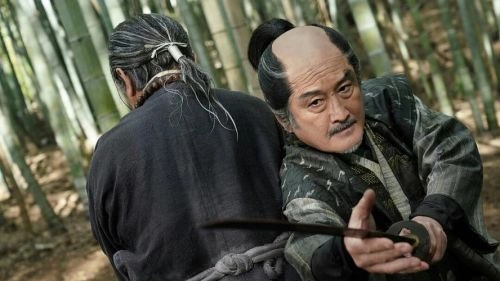 柳生家族的阴谋 剧情片海报