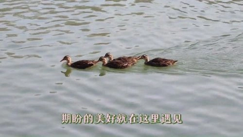 不负青春不负卿 爱情片 剧照