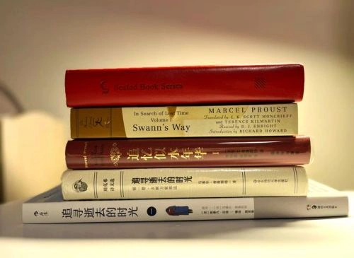 追忆似水年华 纽·贝阿 爱情片 官方剧照