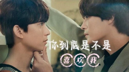 非故意恋爱故事 韩剧宣传照