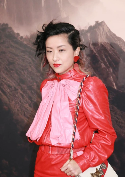 徐濠莹 主演 忘情阔少爷国语 香港剧
