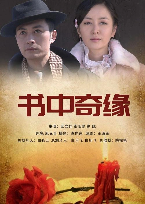 武文佳 主演 书中奇缘