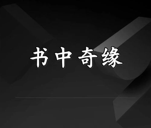 书中奇缘 悬疑片海报
