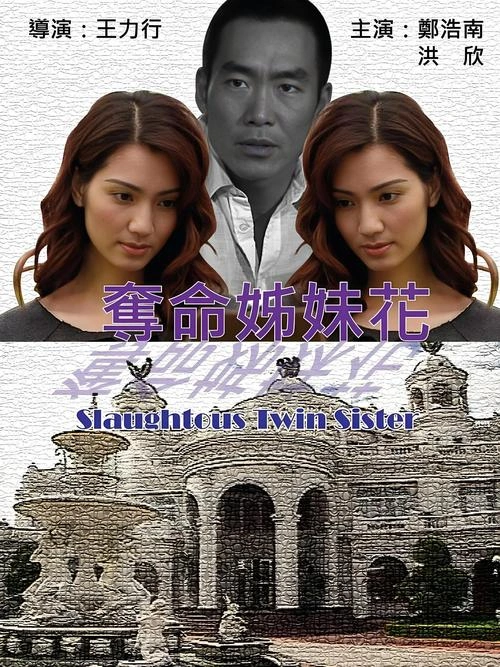 夺命姐妹花 洪欣 剧情片 官方剧照