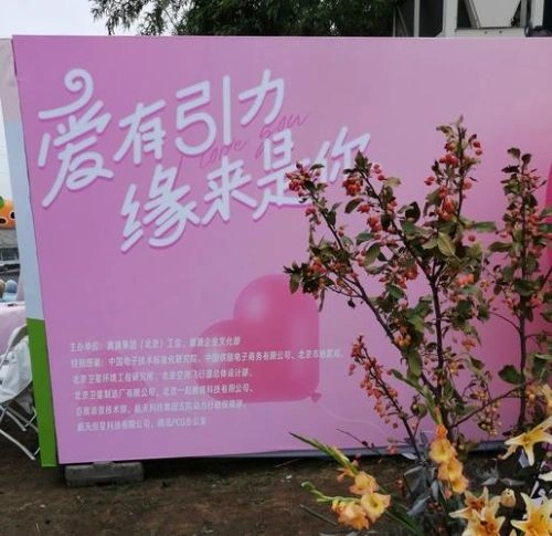 相亲盛宴 爱情片 海报