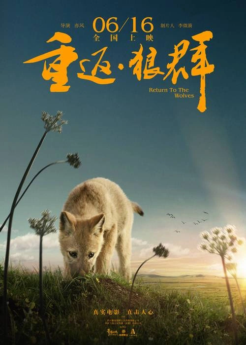 重返·狼群 其他片 画面