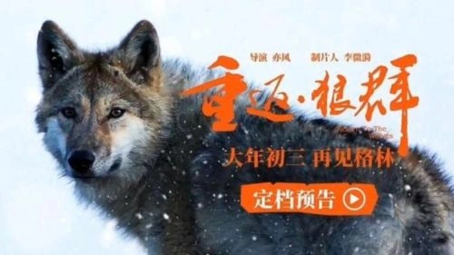 其他片 重返·狼群 剧照