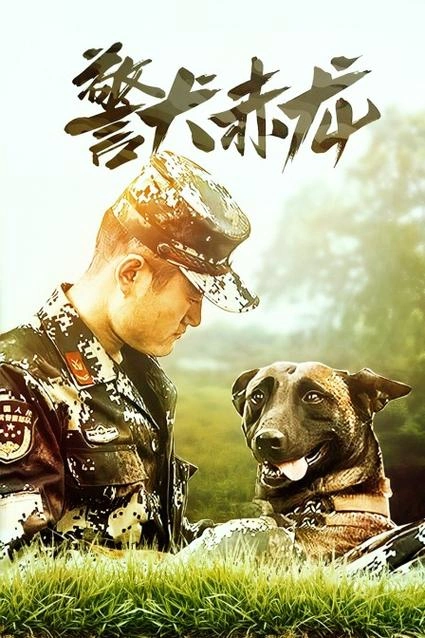 警犬赤龙 杨立山 国产剧 官方剧照