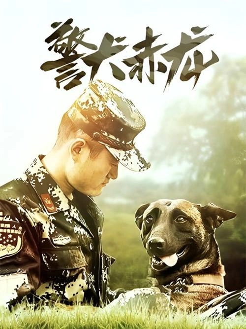 警犬赤龙 吴楚 国产剧 官方剧照