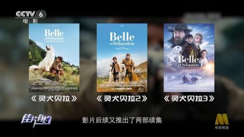 灵犬雪莉3 费利克斯·博叙埃 剧情片 官方剧照