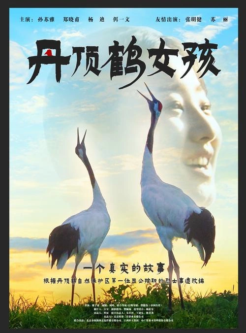 丹顶鹤女孩 孙苏雅 爱情片 官方剧照