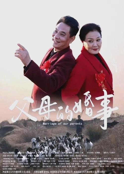 剧情片 父母的婚事 剧照