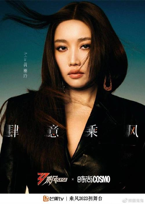 富家神偷 欧美剧 Alin 海报